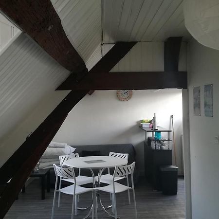 בלואה Appartement Spacieux Vue Sur Loire Proche Du Centre מראה חיצוני תמונה