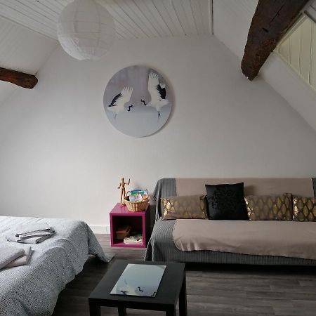 בלואה Appartement Spacieux Vue Sur Loire Proche Du Centre מראה חיצוני תמונה