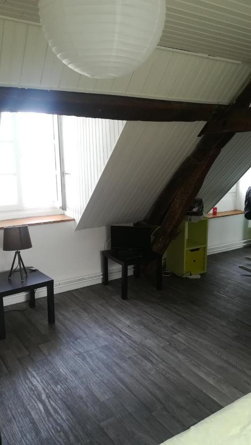 בלואה Appartement Spacieux Vue Sur Loire Proche Du Centre מראה חיצוני תמונה