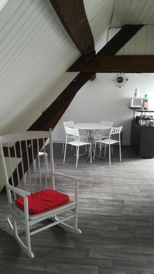 בלואה Appartement Spacieux Vue Sur Loire Proche Du Centre מראה חיצוני תמונה