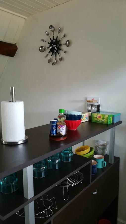 בלואה Appartement Spacieux Vue Sur Loire Proche Du Centre מראה חיצוני תמונה