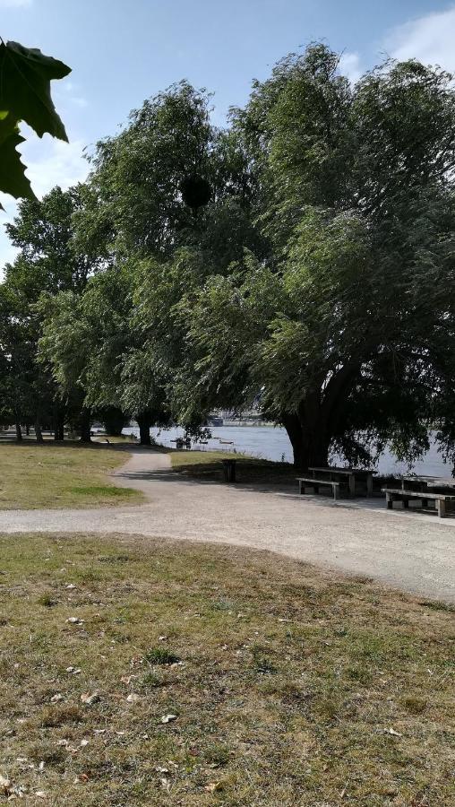 בלואה Appartement Spacieux Vue Sur Loire Proche Du Centre מראה חיצוני תמונה