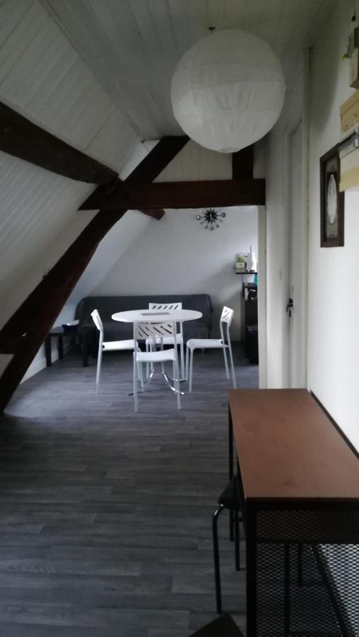 בלואה Appartement Spacieux Vue Sur Loire Proche Du Centre מראה חיצוני תמונה