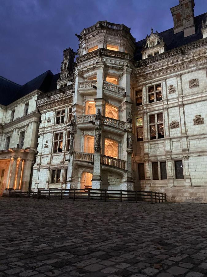 בלואה Appartement Spacieux Vue Sur Loire Proche Du Centre מראה חיצוני תמונה