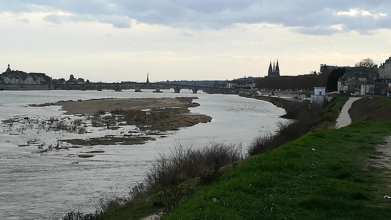 בלואה Appartement Spacieux Vue Sur Loire Proche Du Centre מראה חיצוני תמונה
